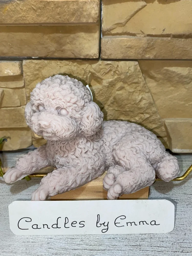Vela caniche toy nude