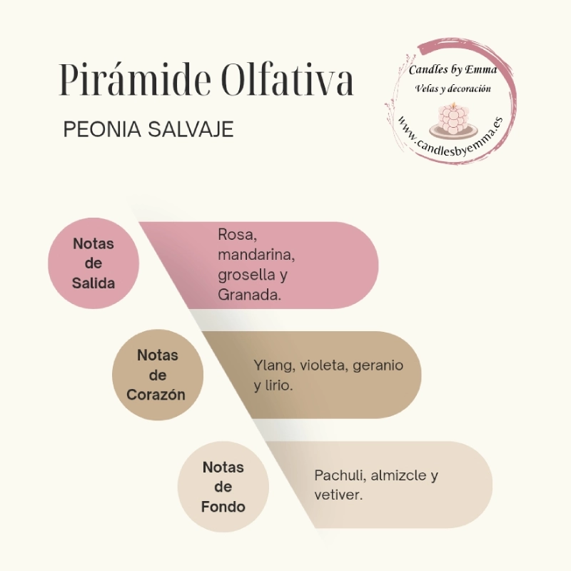 piramide olfativa peonia salvaje